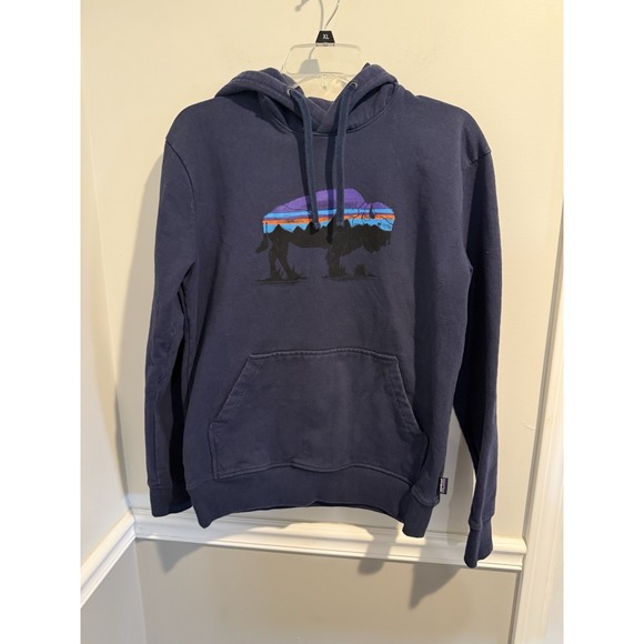 Patagonia Other - Patagonia Mens Fitz Roy  Bison Uprisal Blue Fleece Hoodie Regular Fit Size S